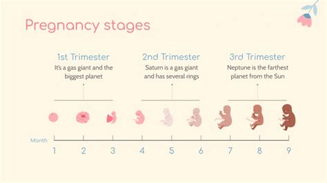 Pregnancy Calendar Google Slides and PowerPoint template