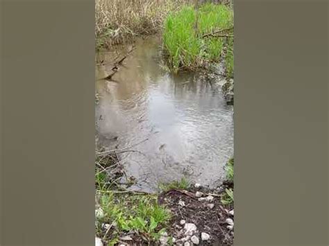Ручиек #recommended #reels #nature #water #beuty #followme #follow ...