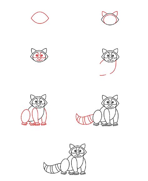 How to draw A Raccoon Idea 5 step by step - Drawing Photos