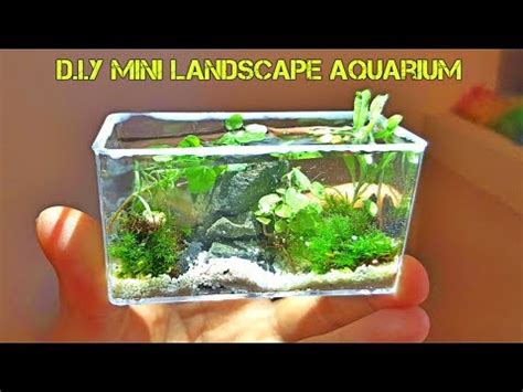 Diy Miniature Aquarium Fish Tank Live Landscape Aquarium Youtube