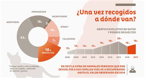 Causas De Abandono De Mascotas