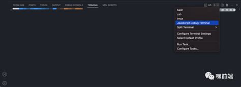 Node 调试利器，前端、node 开发必备 Vscode Js Debug Terminal Csdn博客