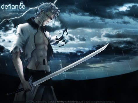 Grimmjow Grimmjow Jeagerjaques Wallpaper 13423434 Fanpop