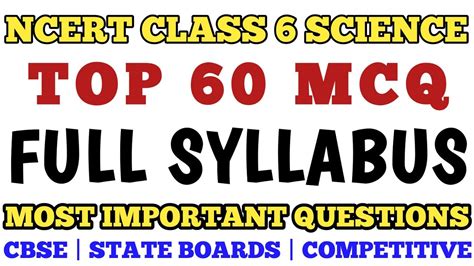 Best MCQ Class 6 Science Full Syllabus Class 6 Science MCQ MCQ