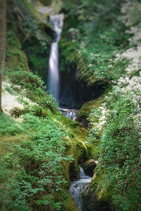 Poulanass waterfall, Republic of Ireland. [OC] [3648x5472] : r/EarthPorn