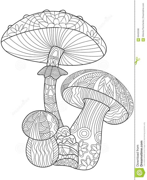 Vecteur De Coloration De Champignon Pour Des Adultes Illustration De