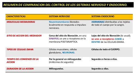 Cuadros Comparativos Entre Sistema Nervioso Y Endocrino Cuadro