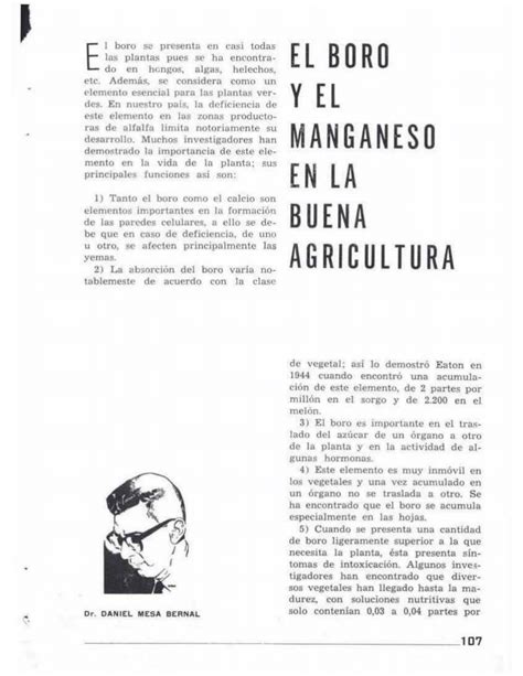 Pdf El Boro Y El Manganeso En La Buena Agricultura