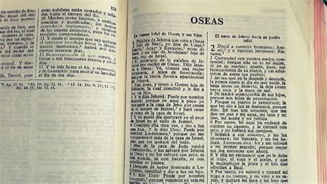 Significado Del Libro De Oseas En La Biblia