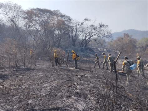 Controlado Al 100 El Incendio En Cerro Del Toro Manzanillo