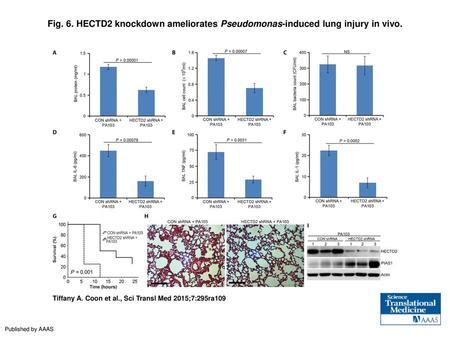 HECTD2 Knockdown Ameliorates Pseudomonas Induced Lung Injury In Vivo