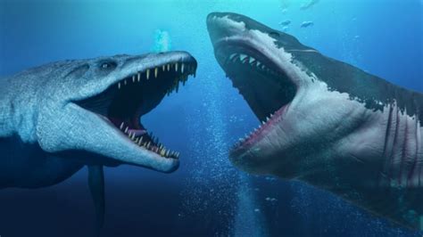 Mosasaurus Vs Megalodon Size Comparison