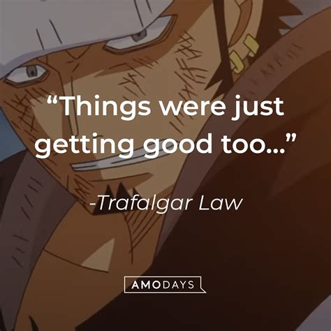 Trafalgar Law Quotes From The Laid Back One Piece Pirate