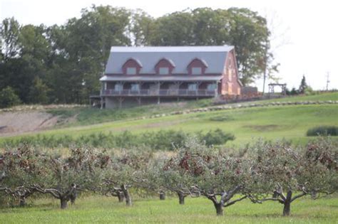 Sneak peek at Mapleside Farms’ Pumpkin Village before Friday’s opening ...