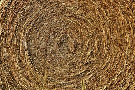 Round Hay Bale Background Free Stock Photo - Public Domain Pictures