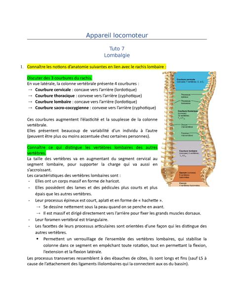 Loco Tuto Lombalgie Notes De Cours Appareil Locomoteur Tuto