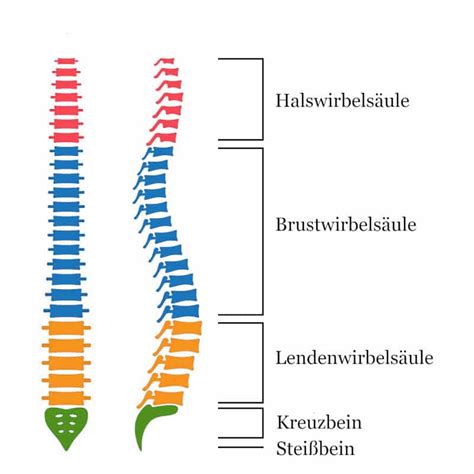 Rückenschmerzen Ursachen Behandlung und Übungen Liebscher Bracht