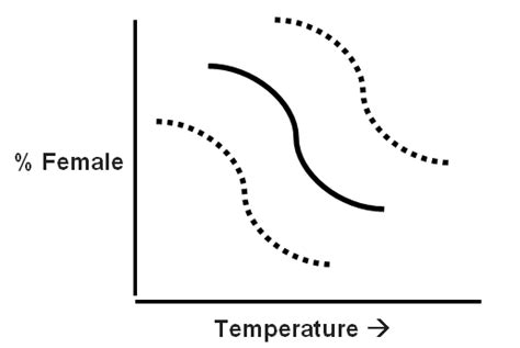 Some Like It Hot Temperature Dependent Sex Determination TSD In