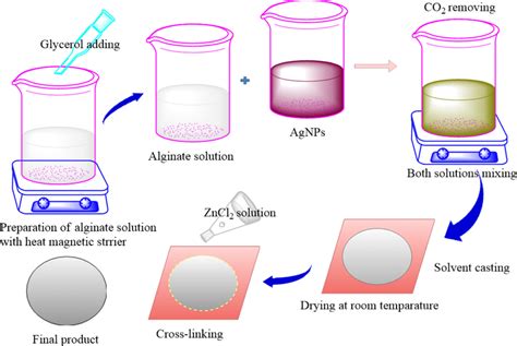 A Schematic Diagram Of Sodium Alginate And Agnps Incorporated Films