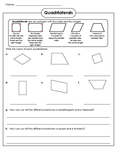 Quadrilateral Worksheet 3rd Grade