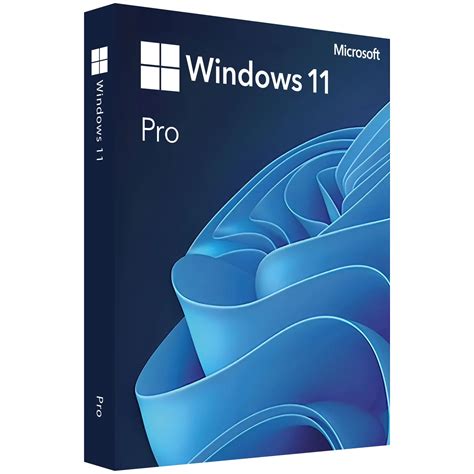 Buy Microsoft Windows 11 Professional Flixeasy