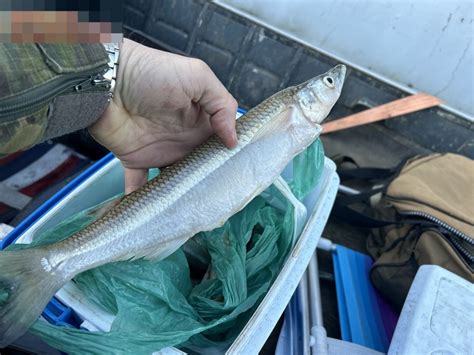 Homens são detidos por pesca ilegal em camping trio estava 17