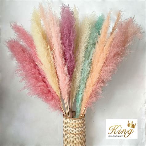 Jual Dried Flower Rainbow Jumbo Pampas Bunga Kering Asli Hias Dekorasi