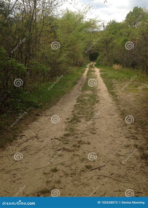 Horse Trail stock image. Image of horse, farm, park - 102658073