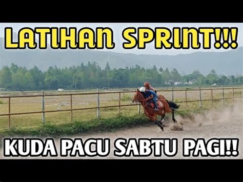 WOW LATIHAN KERAS KUDA PACU SABTU PAGI PERSIAPAN PACUAN KUDA