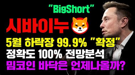 시바이누 긴급 밈코인 바닥확인 언제부터 정확도 100 전망분석 5월 하락은 999 확정 코인시황