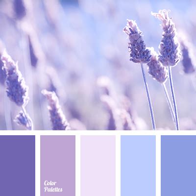 lavender | Color Palette Ideas