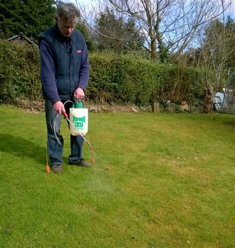 When To Apply Moss Killer To Lawn Pacific Northwest At Ronnie Peterson Blog