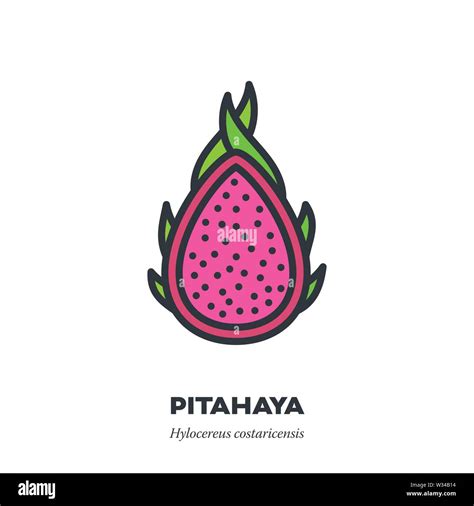 La Pitahaya O Fruta Del Drag N Icono Esquema Con Estilo De Relleno De