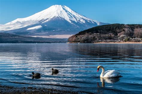 Mount Fuji Lake Kawaguchi Private Trip With English Speaker