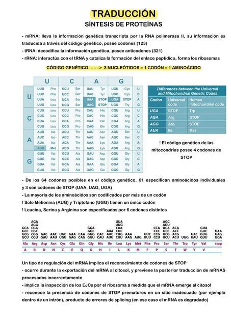 Traducci N Biotech Sg Sof A Gagliardi Udocz