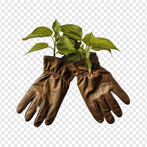 Guantes de jardinería aislados sobre un fondo transparente Archivo