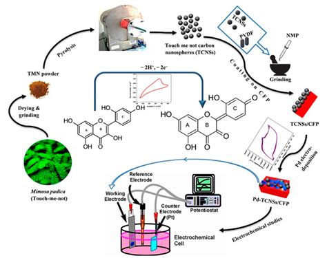 Nanomaterials Free Full Text Application Of Electrochemical Sensors