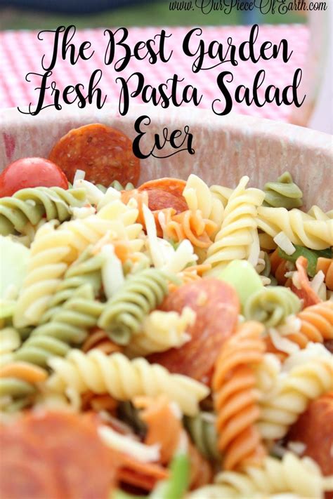 The Best Garden Fresh Pasta Salad Recipe Our Piece Of Earth