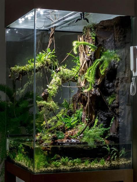 Vivarium Paludarium Water Terrarium Terrarium Plants Garden Terrarium