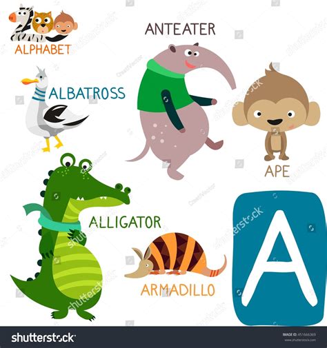 Cute Animal Zoo Alphabet Letter Alligator Stock Vector 451666369