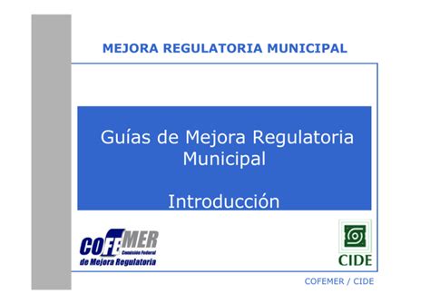 Introducci N A La Mejora Regulatoria Municipal