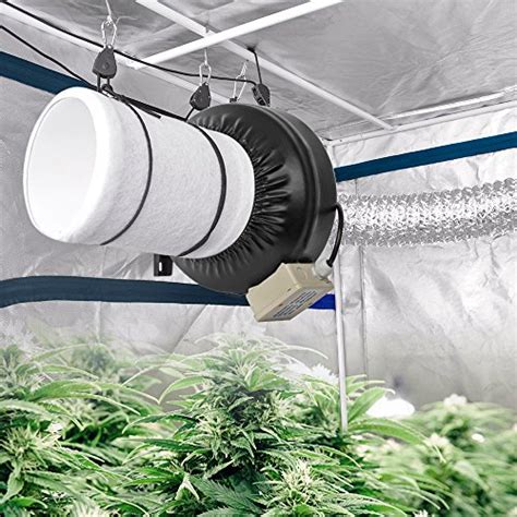 20 Elegant Building A Grow Room In Basement Basement Tips