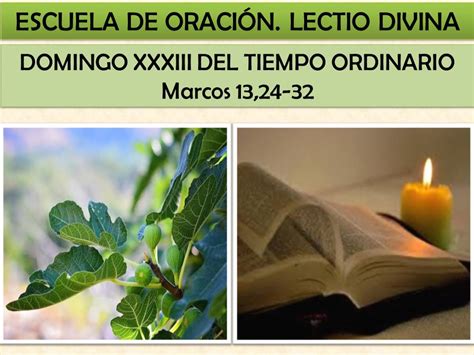 Lectio Divina Marcos 13 24 32 Domingo 33 Del Tiempo Ordinario Cipecar