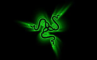 Razer logo, 2K, Razer, Razer Inc., green HD wallpaper | Wallpaper Flare