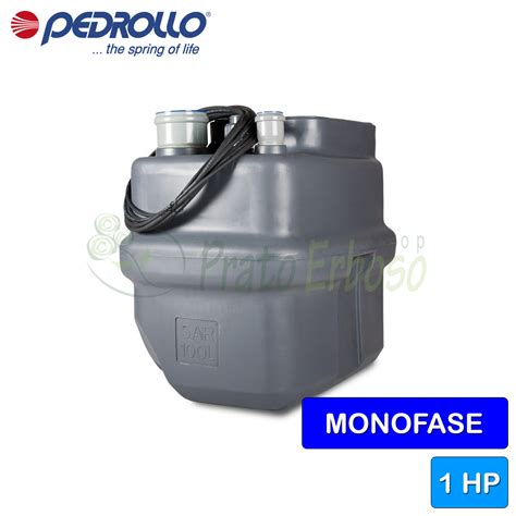 Station De Relevage D Eau De Pluie SAR 100 Dm 20 1 HP Pedrollo