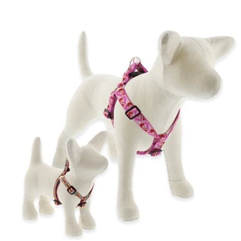 Four Your Paws Only: Lupine Collars & Harnesses For Dogs