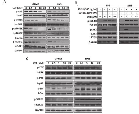 C Specifically Inhibits Pi K Akt Mtor Pathway A Opm And Jjn