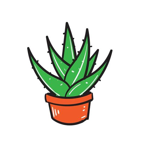 Dibujado A Mano Doodle Aloe Vera Ilustraci N Icono Fondo Aislado In