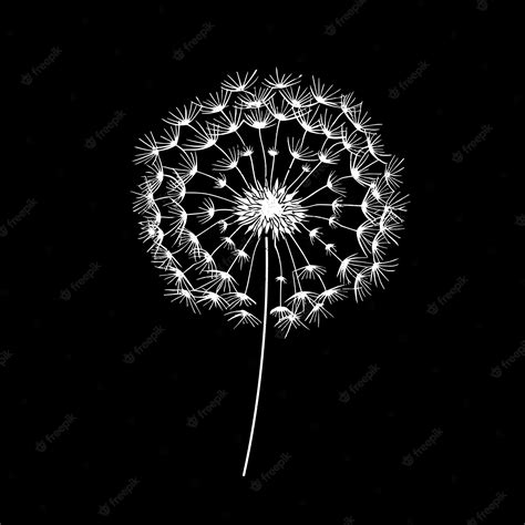 Premium Vector | Dandelion flower in white silhouette on black background