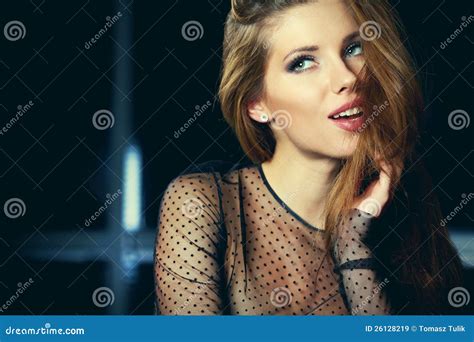 Perfect Brunette Beauty Stock Image Image Of Elegance 26128219